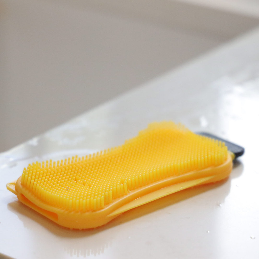 Éponge ou brosse : quel matériel est le plus hygiénique pour faire la  vaisselle ?