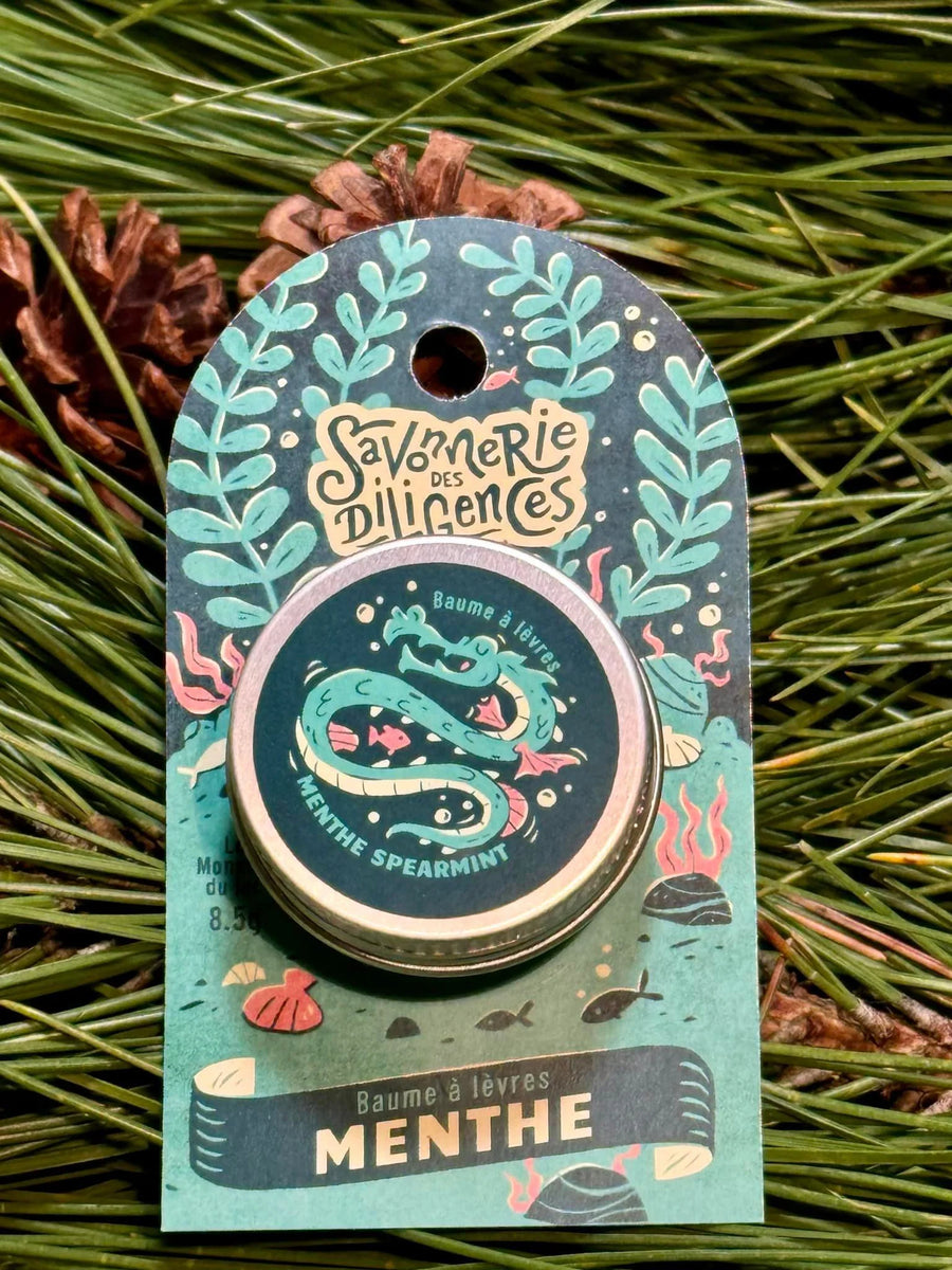 Moisturizing Lip Balm – Savonnerie des Diligences