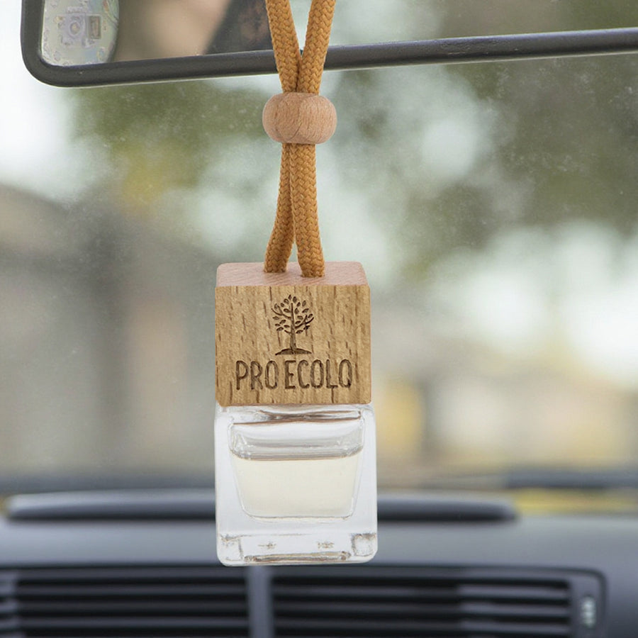 Diffuseur pour voiture ProÉcolo avec design écoresponsable