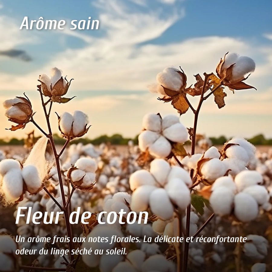Extrait de senteur Fleur de coton oNature – fragrance naturelle, légère et agréable pour la maison