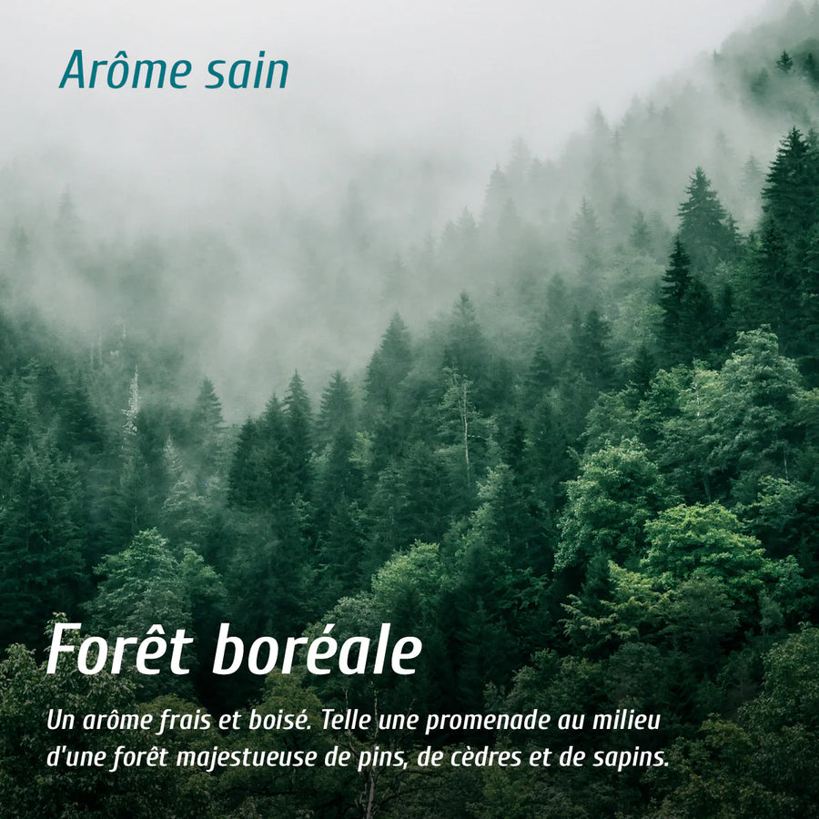 Extrait de senteur Forêt boréale oNature – fragrance forestière et naturelle pour maison saine