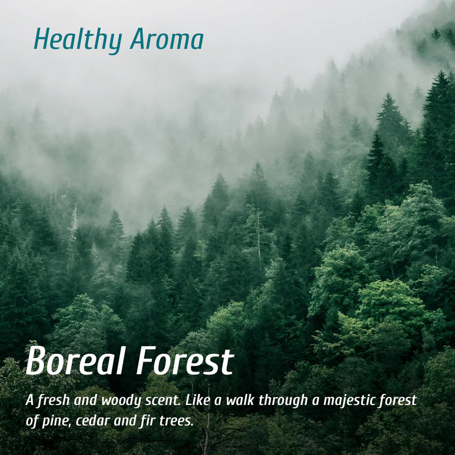 oNature Boreal Forest soy fragrance extract – natural woodsy scent for home diffusers